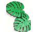 Brož monstera WJP-0039/24